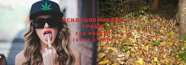 герыч Новодвинск