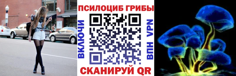 как найти закладки  Екатеринбург  Псилоцибиновые грибы Cubensis 