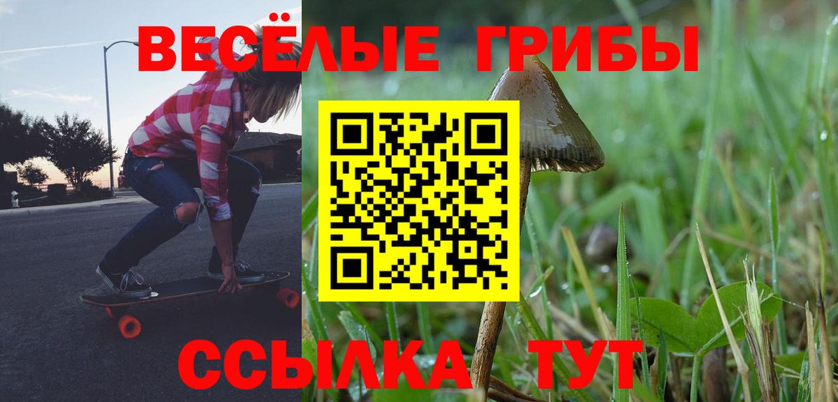 Псилоцибиновые грибы GOLDEN TEACHER Екатеринбург