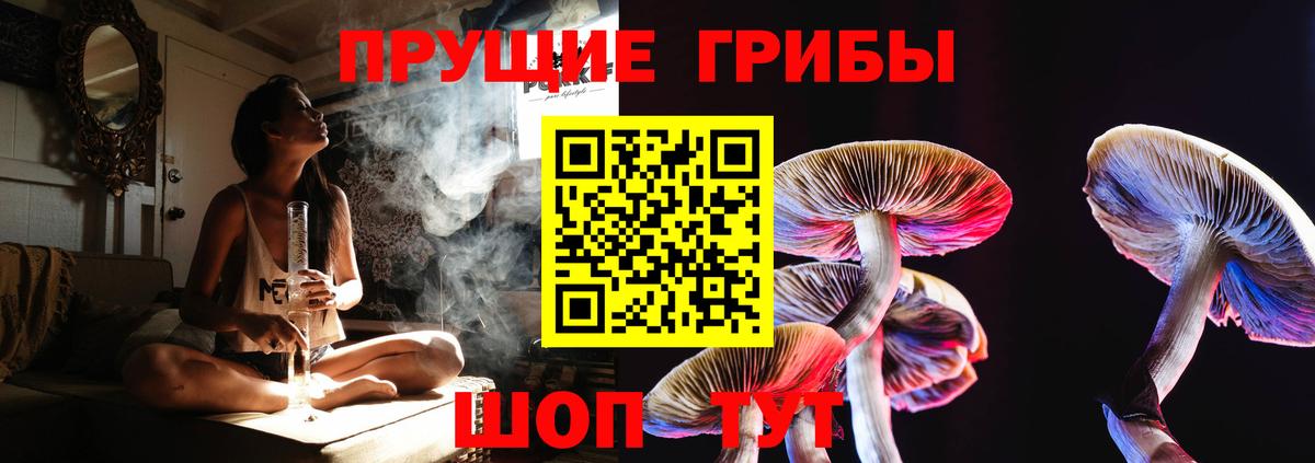 Екатеринбург  Галлюциногенные грибы Cubensis  Вход с VPN  Галлюциногенные грибы MAGIC MUSHROOMS 
